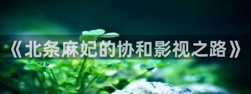 茄子视频18