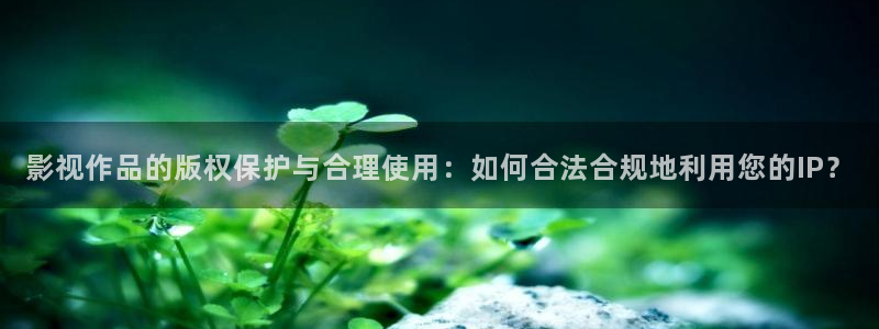 茄子视频视频