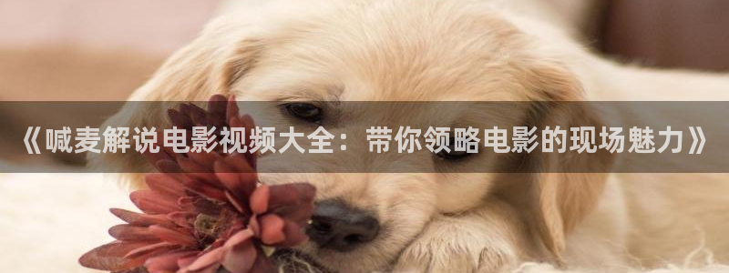 樱花视频茄子视频
