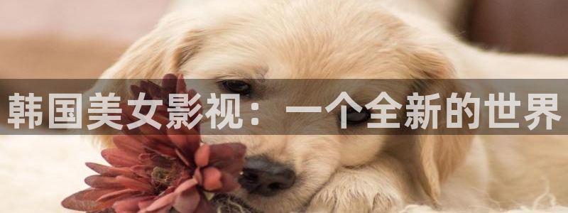 茄子视频?