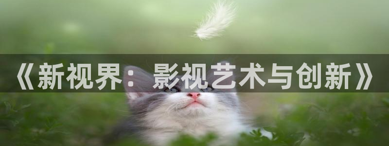 茄子视频了