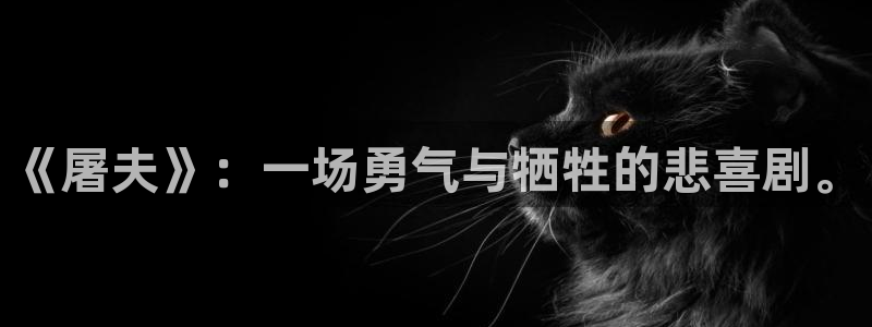 茄子视频qz