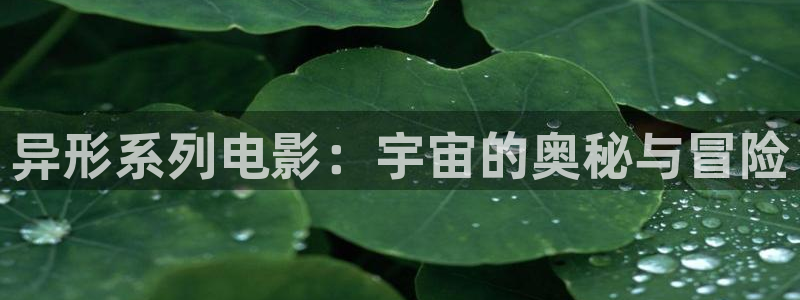 茄子视频色版