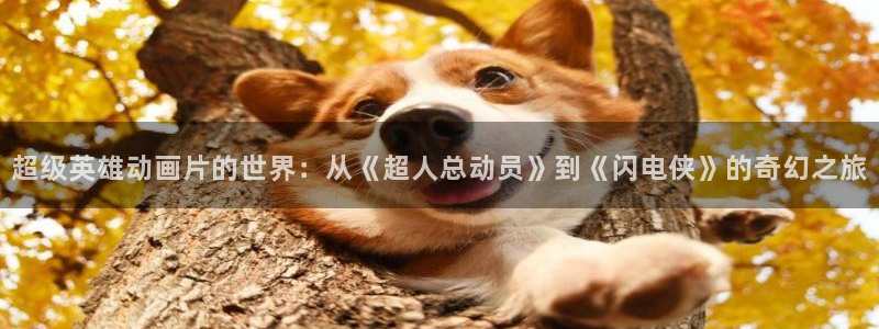 茄子视频一