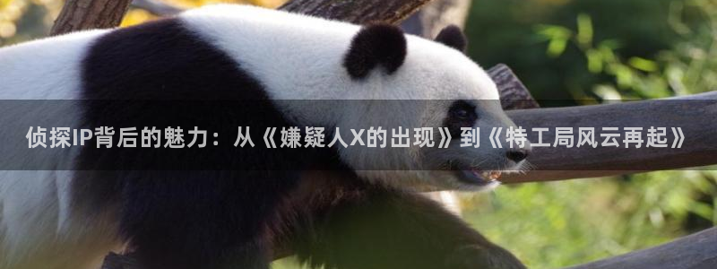茄子视频了