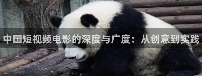 茄子视频www