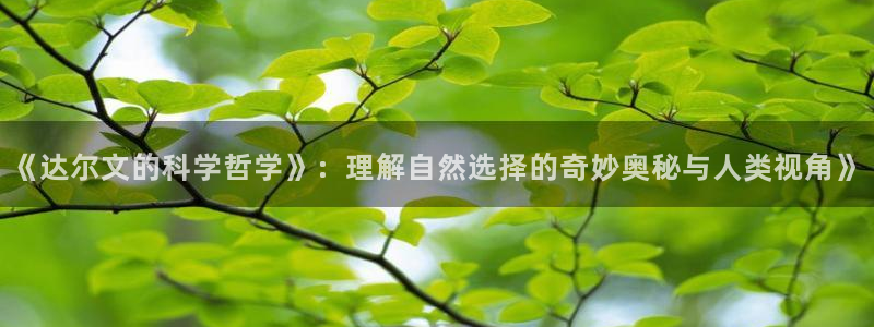 qiezi 茄子视频
