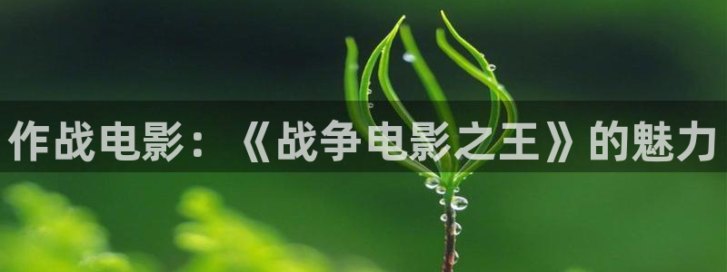 茄子视频qz