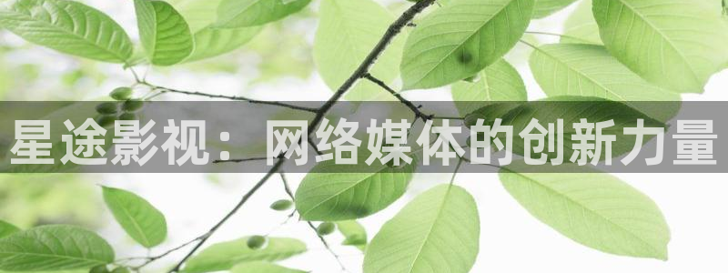 大茄子视频