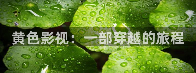 大茄子视频