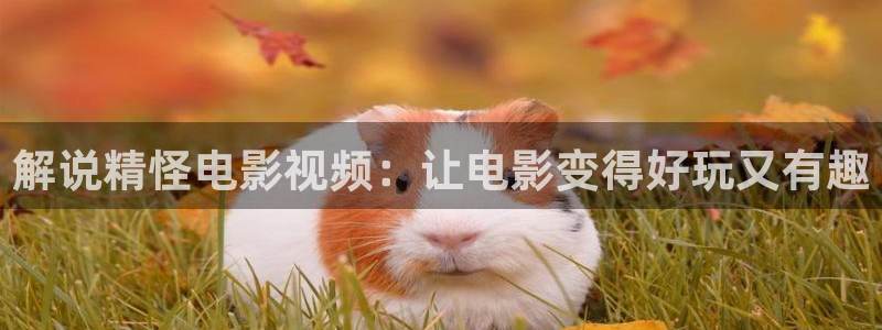 茄子视频qz