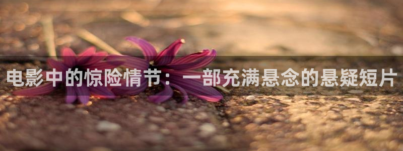 茄子视频a