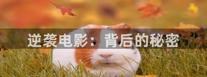 qiezi 茄子视频