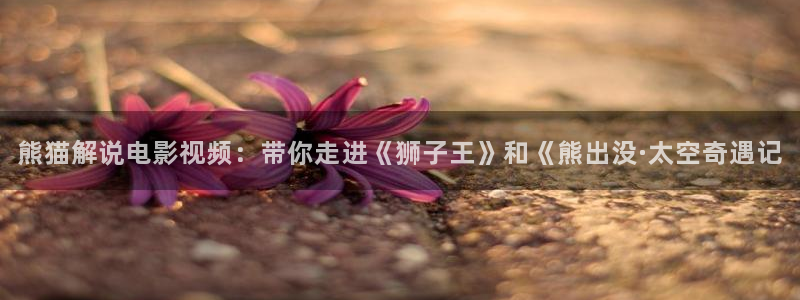 新闻图片